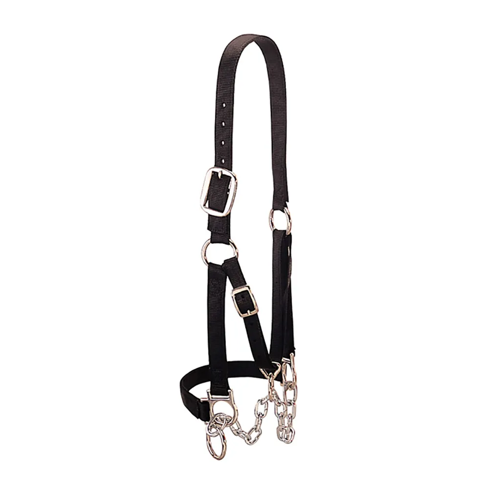 Heavy-Duty Restraint Halter