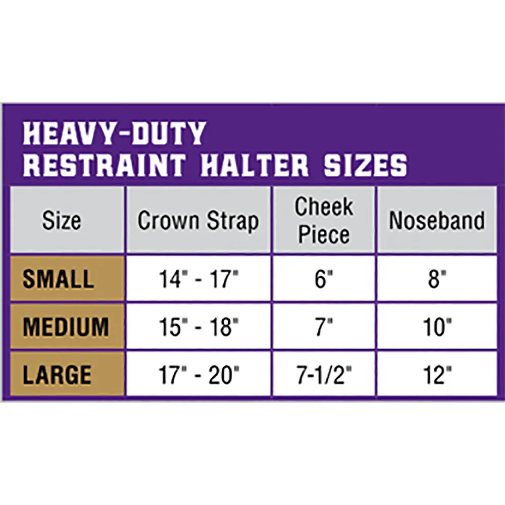 Heavy-Duty Restraint Halter - Image 2