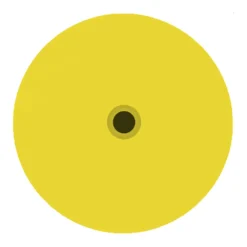 DuFlex Standard Round Blank Tag