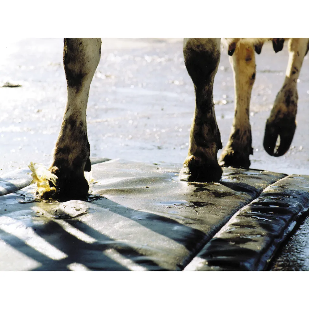 Hoof Treatment Mat - Image 2