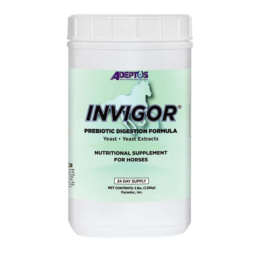 Invigor Yeast And Yeast Extract Prebiotic Digestion Formula For Horses