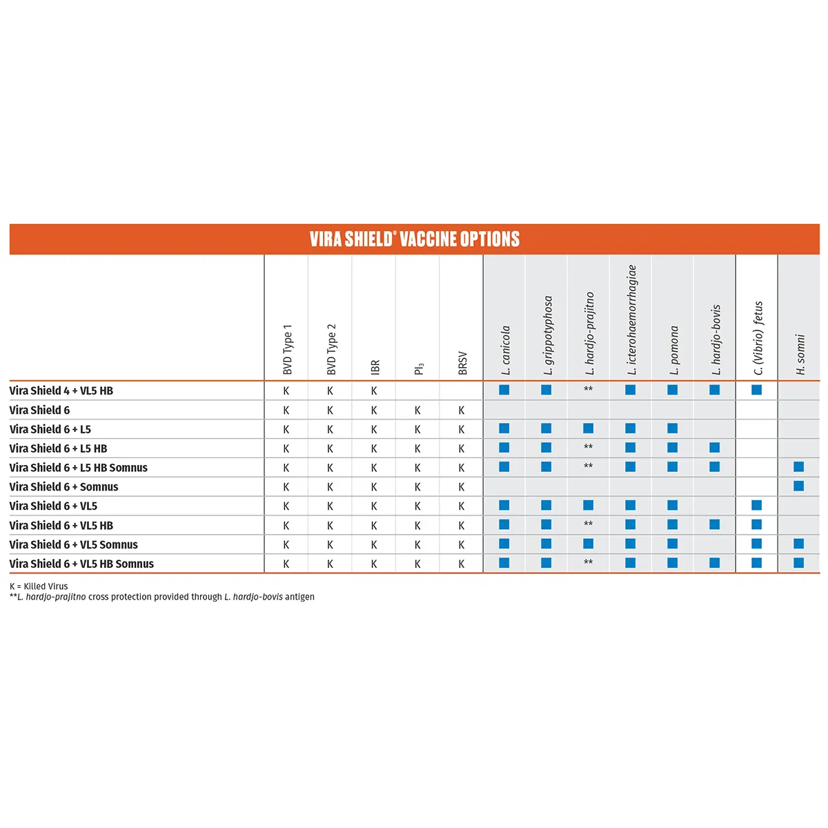 Vira Shield 6+L5 HB Cattle Vaccine - Image 2
