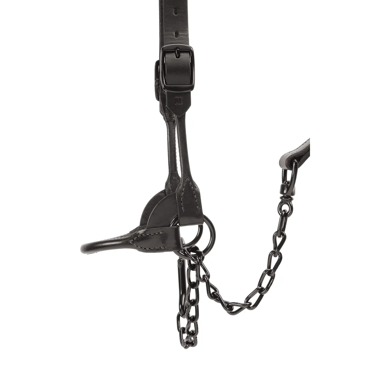 Stierwalt Black Magic And Brown Bombshell Show Halter - Image 2