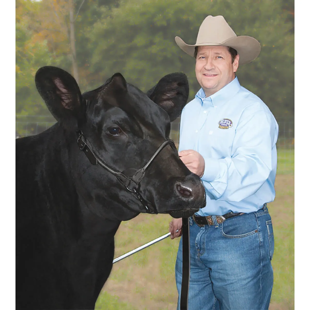 Stierwalt Black Magic And Brown Bombshell Show Halter - Image 5