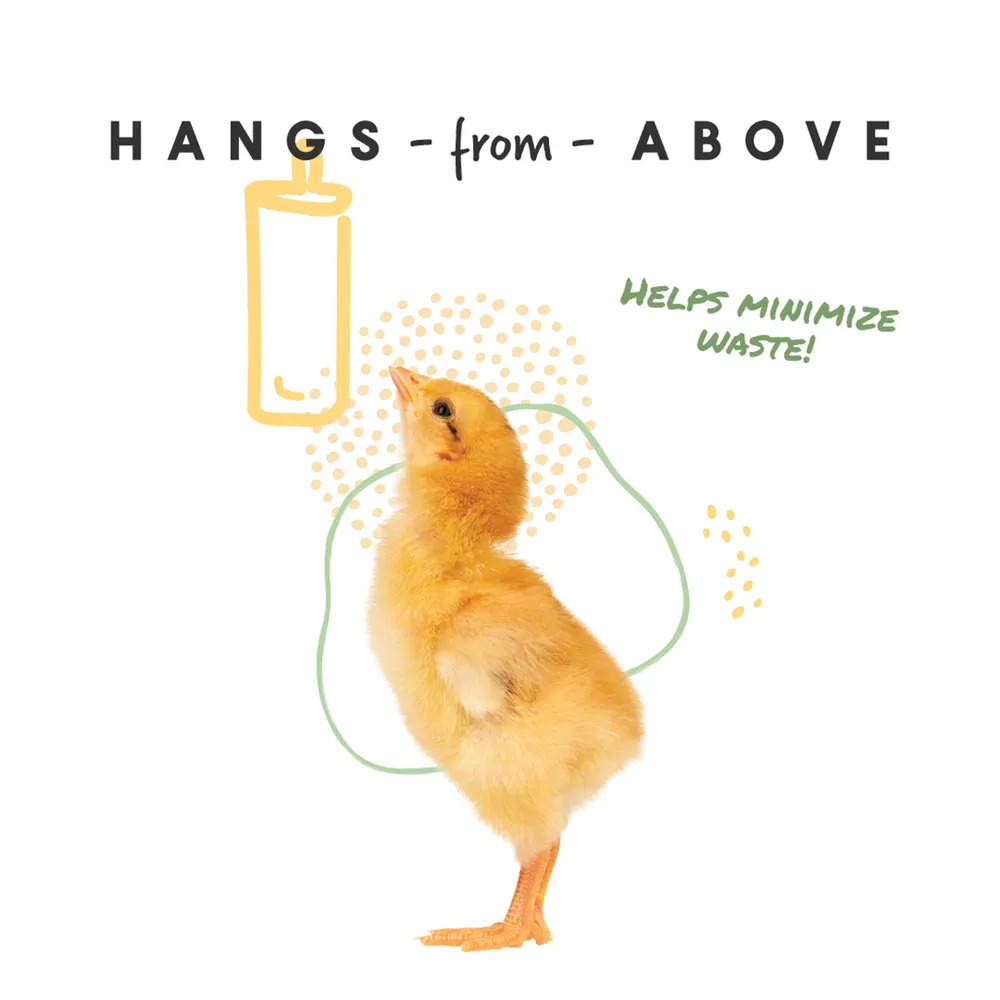 Chick Stick Treat - Image 5