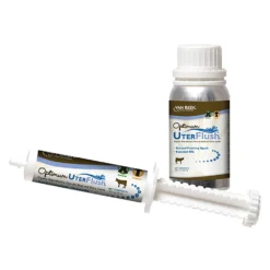 Optimum UterFlush
