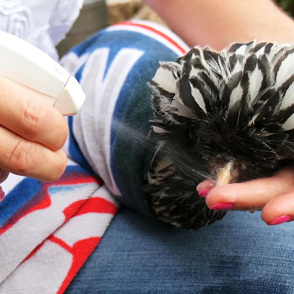 Vetericyn Plus Antimicrobial Poultry Care Spray - Image 2