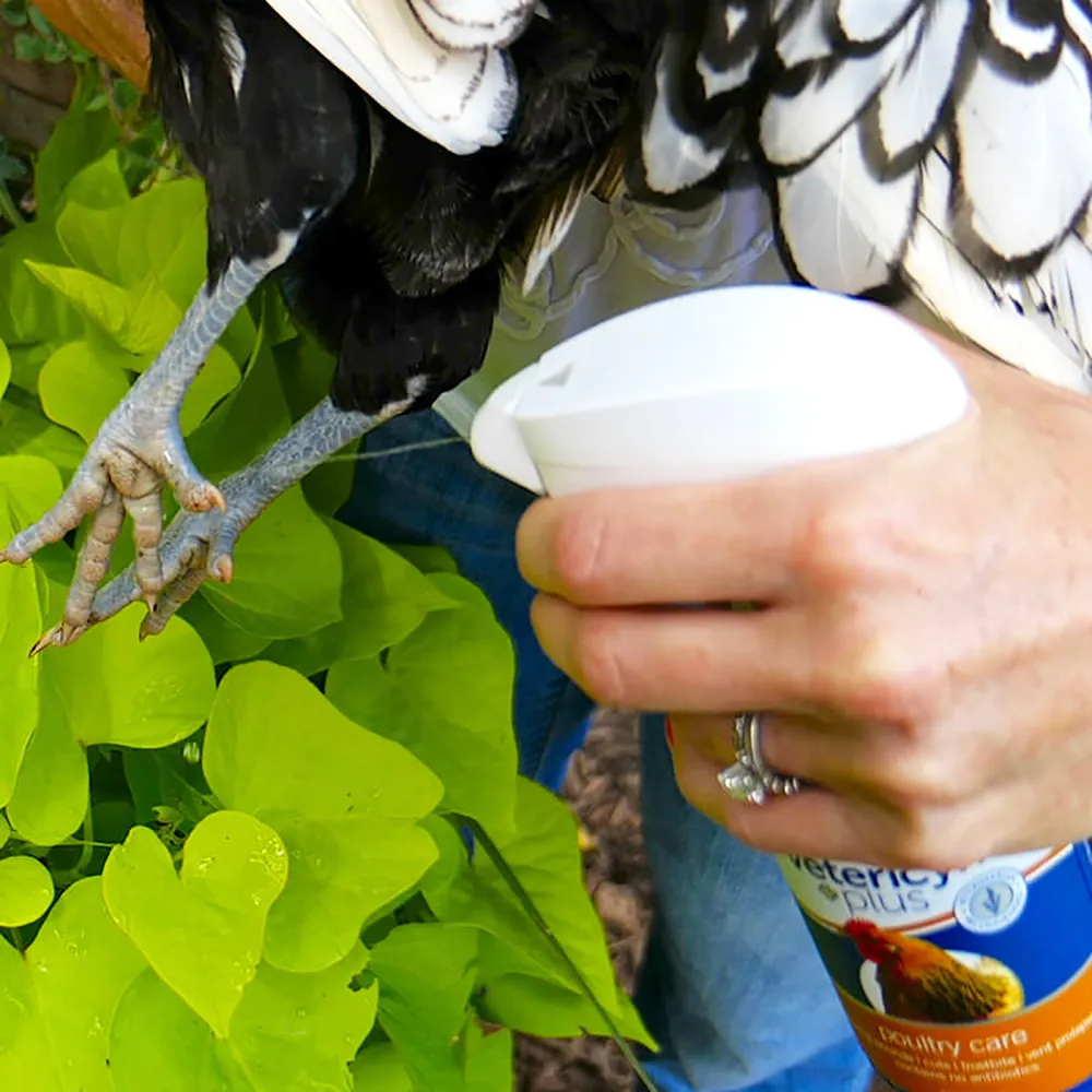 Vetericyn Plus Antimicrobial Poultry Care Spray - Image 3