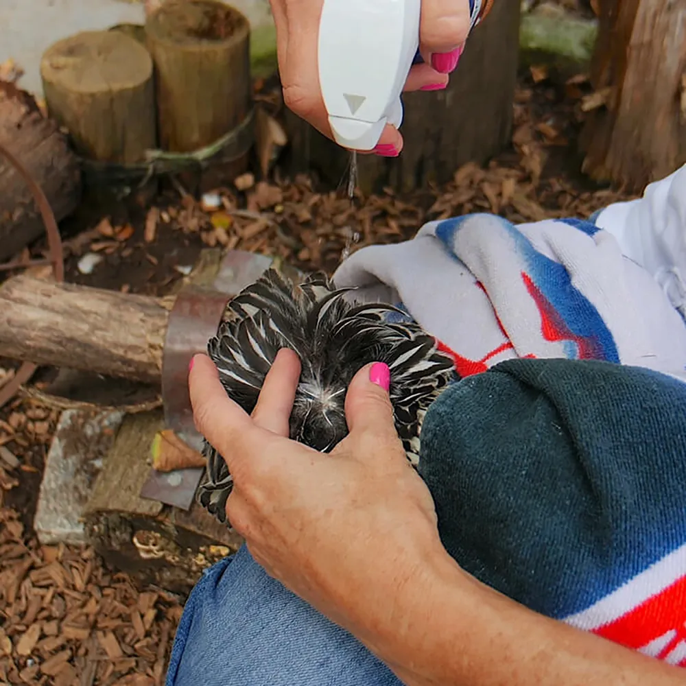 Vetericyn Plus Antimicrobial Poultry Care Spray - Image 4