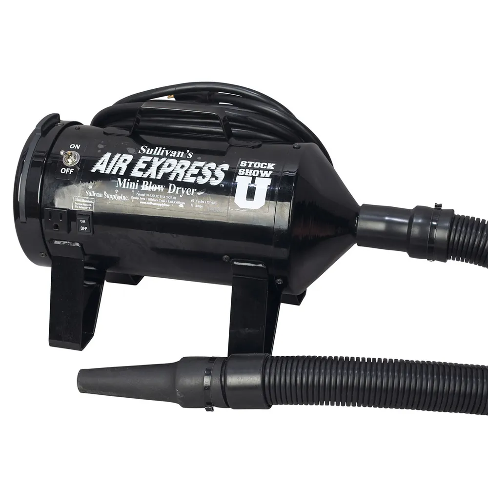 Air Express Mini Blow Dryer