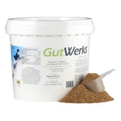 GutWerks Digestive Horse Supplement