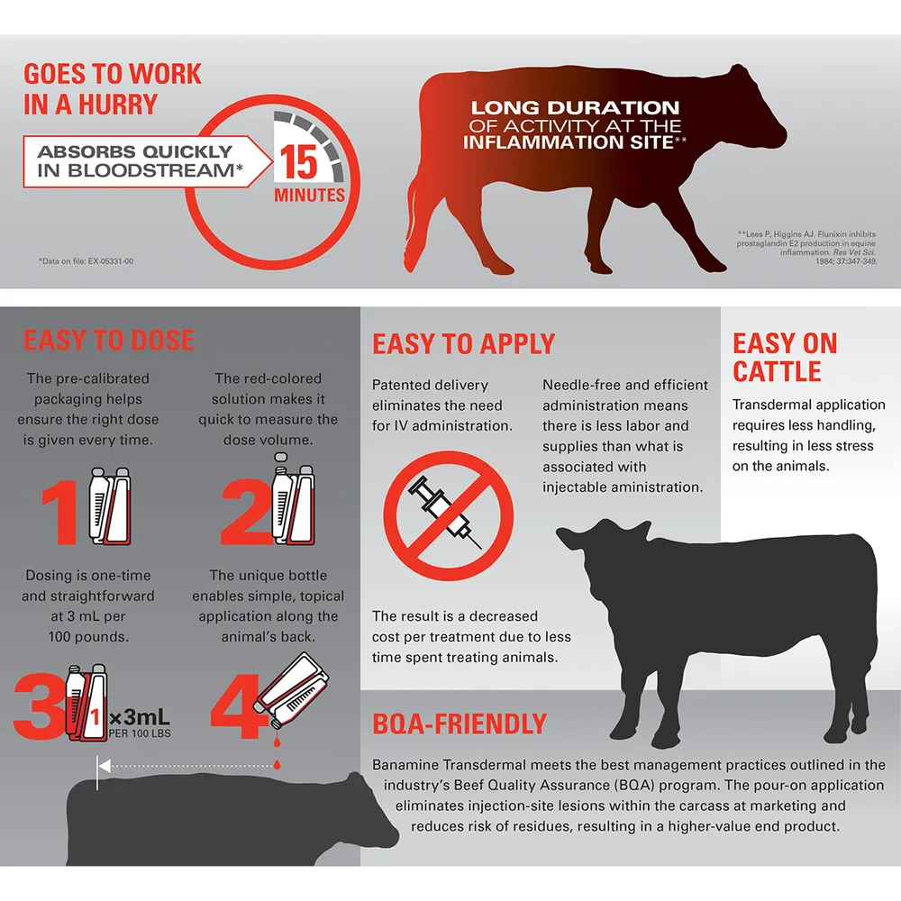 Banamine Transdermal Pour-On Rx - Image 2