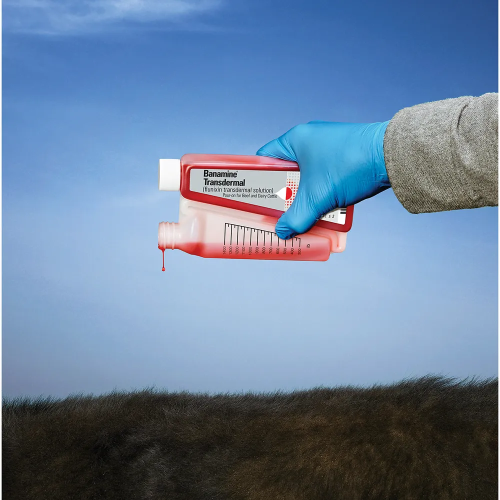 Banamine Transdermal Pour-On Rx - Image 4