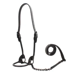 1st Class Leather Show Halter