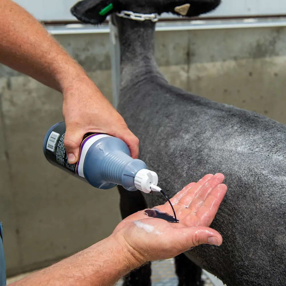 Purifying Shampoo - Image 2