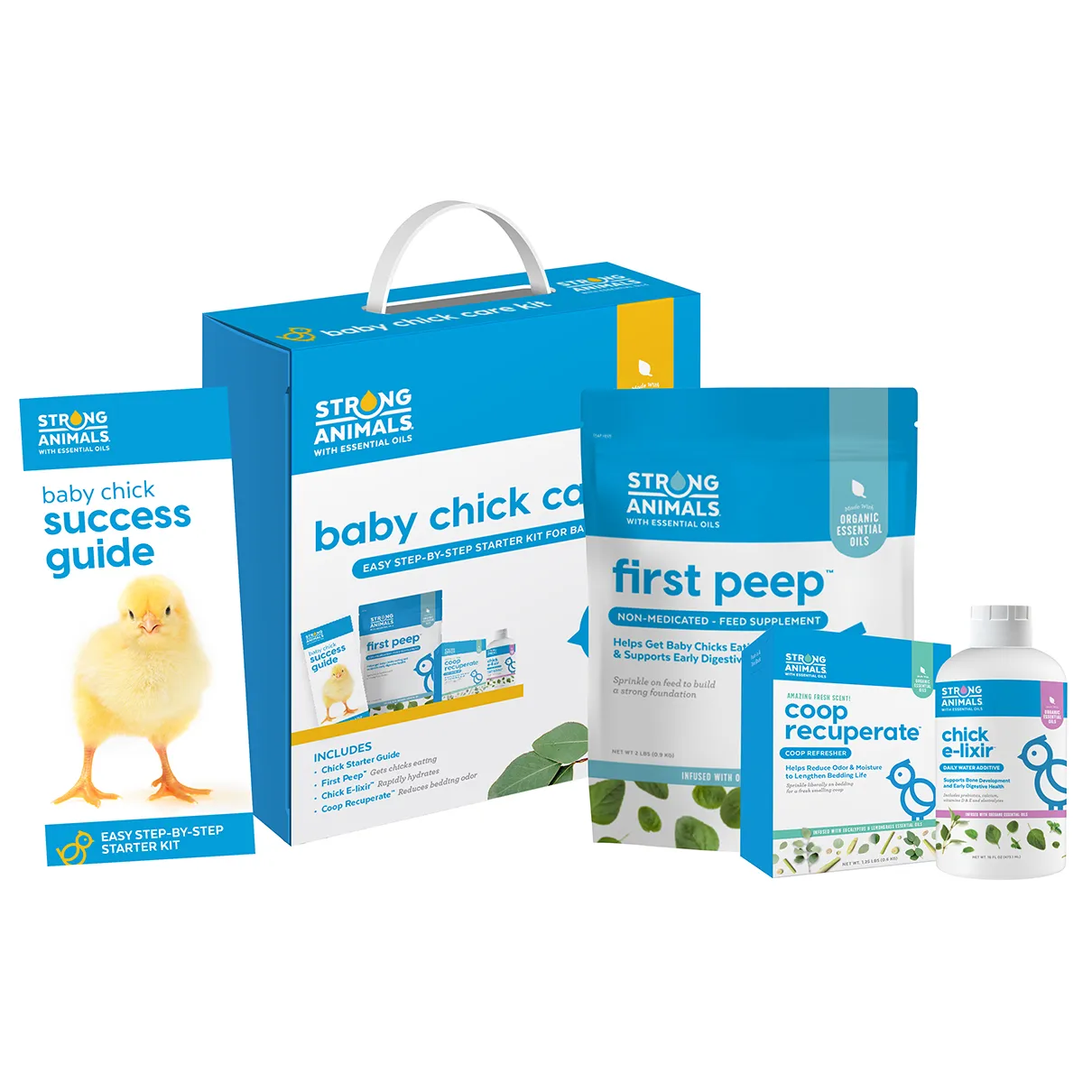 Baby Chick Care Kit - Image 2
